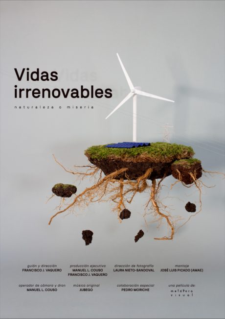 Vidas irrenovables