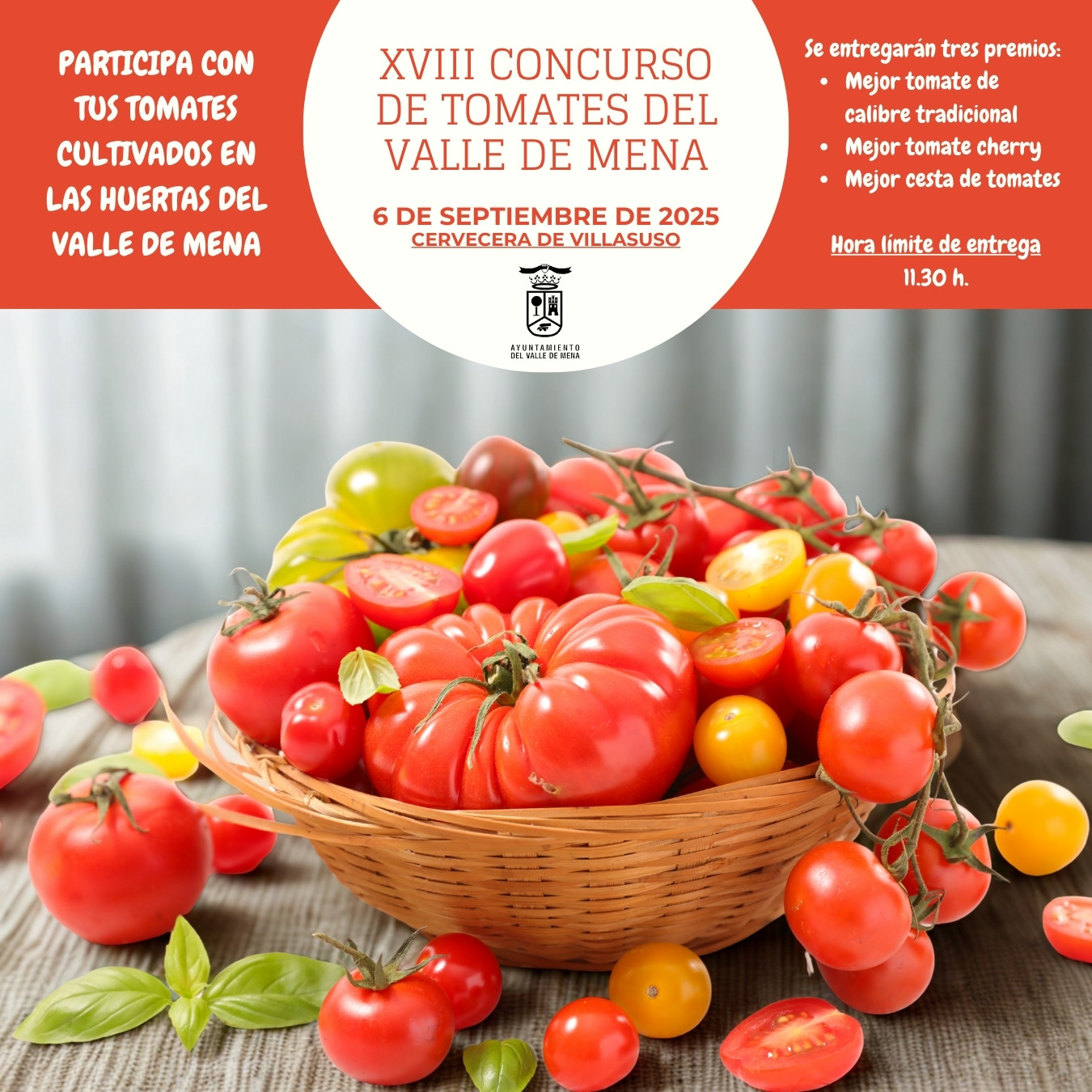 XVI CONCURSO DE TOMATES DEL VALLE DE MENA